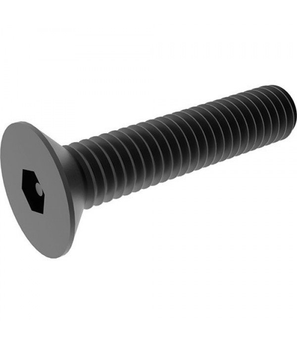 Bolt M 5*15mm Flat head